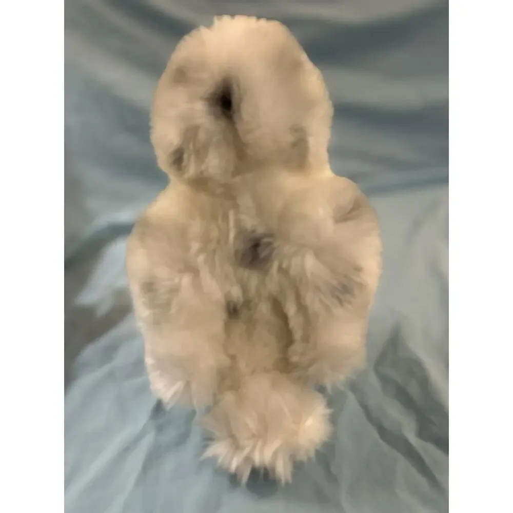 Aurora Snowy Owl Plush 7